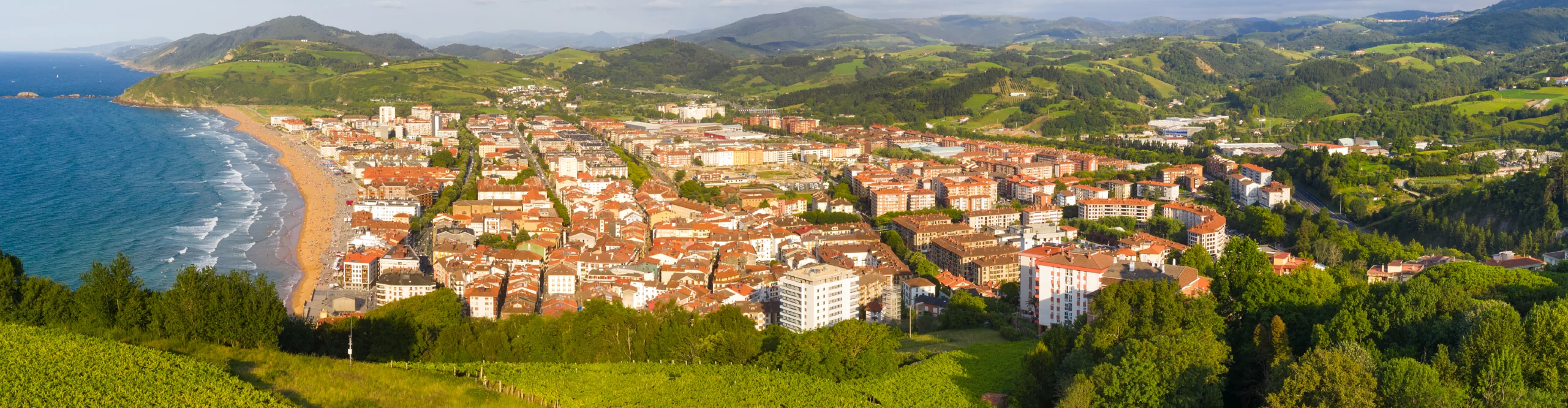 Zarauzko Hirinusa. Bidaiari Arreta