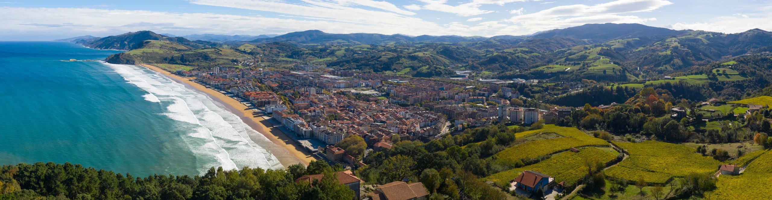 Zarauzko argazki panoramikoa. Zarauzko mugikortasuna..